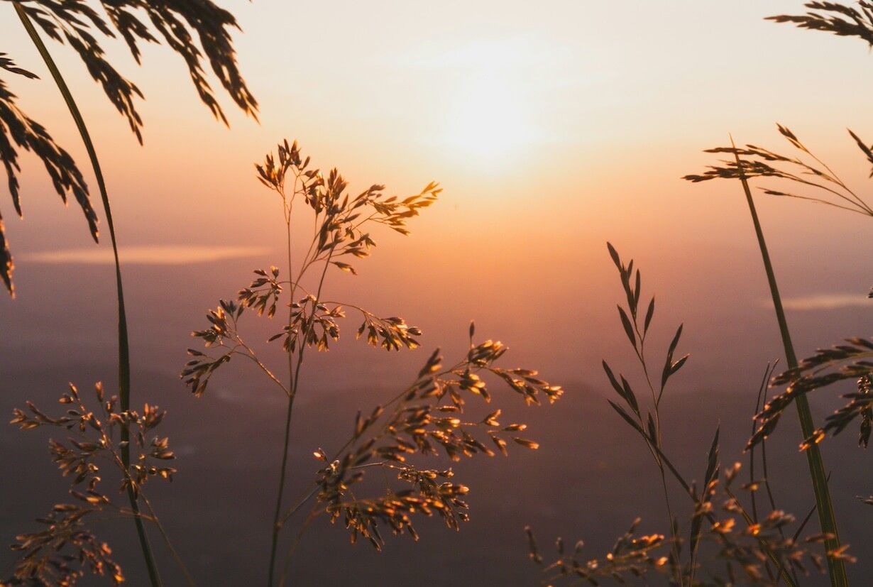 Sonnenaufgang in der Schweiz